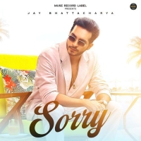 Sorry cover image