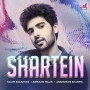 Shartein (2025)