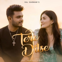 Tere Dilse cover image