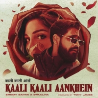 Kaali Kaali Aankhein cover image