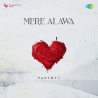 Mere Alawa cover image