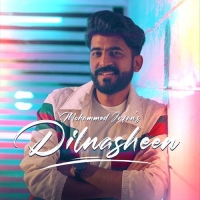 Dilnasheen cover image