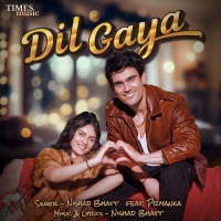 Dil Gaya cover image