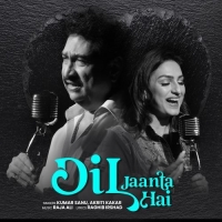 Dil Jaanta Hai cover image