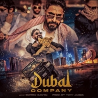 Dubai Company cover image