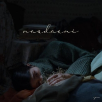 Naadaani cover image