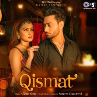 Qismat cover image