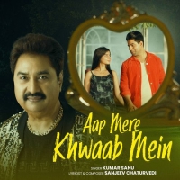 Aap Mere Khwaab Mein cover image