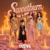 Lazeez cover image
