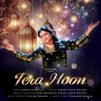 TERA HOON cover image