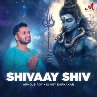 Shivaay Shiv cover image