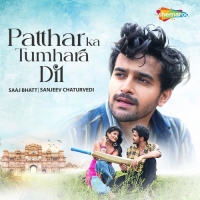 Patthar Ka Tumhara Dil cover image