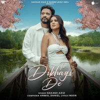 Tu Dikhayi De cover image