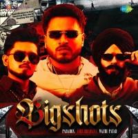 Bigshots cover image