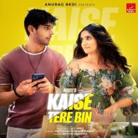 Kaise Tere Bin cover image