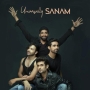 Dil Kya Kare Universally - Sanam (Band)