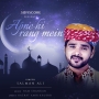 Apne Hi Rang Mein - Salman Ali