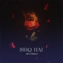 Ishq Hai - Aditya Rikhari