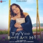 Tum Yaad Bahut Aate Ho (2024)
