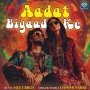 Aadat Bigaad Ke - Danish Sabri