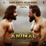 Saari Duniya Jalaa Denge (Extended Film Version)