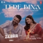 Tere Bina