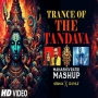 Trance of The Tandava Mahashivratri (Mashup) 2025