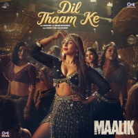 Dil Thaam Ke cover image
