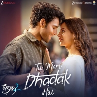 Tu Meri Dhadak Hai cover image