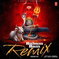 Babam Bam Remix cover image