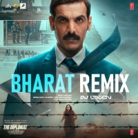 Bharat Remix(Remix By Dj Lemon) cover image