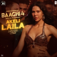 Akeli Laila cover image