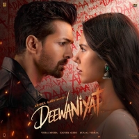 Deewaniyat cover image