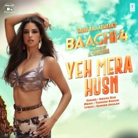 Yeh Mera Husn cover image